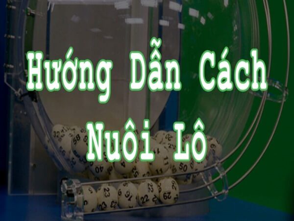 cach-nuoi-lo-khung-toan-tap